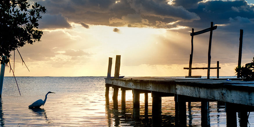 星级酒店虫害防治