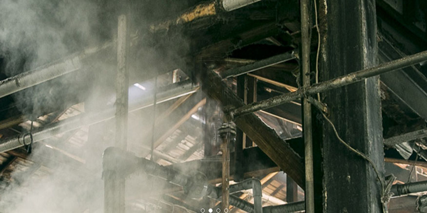 工厂单位行业虫害防治