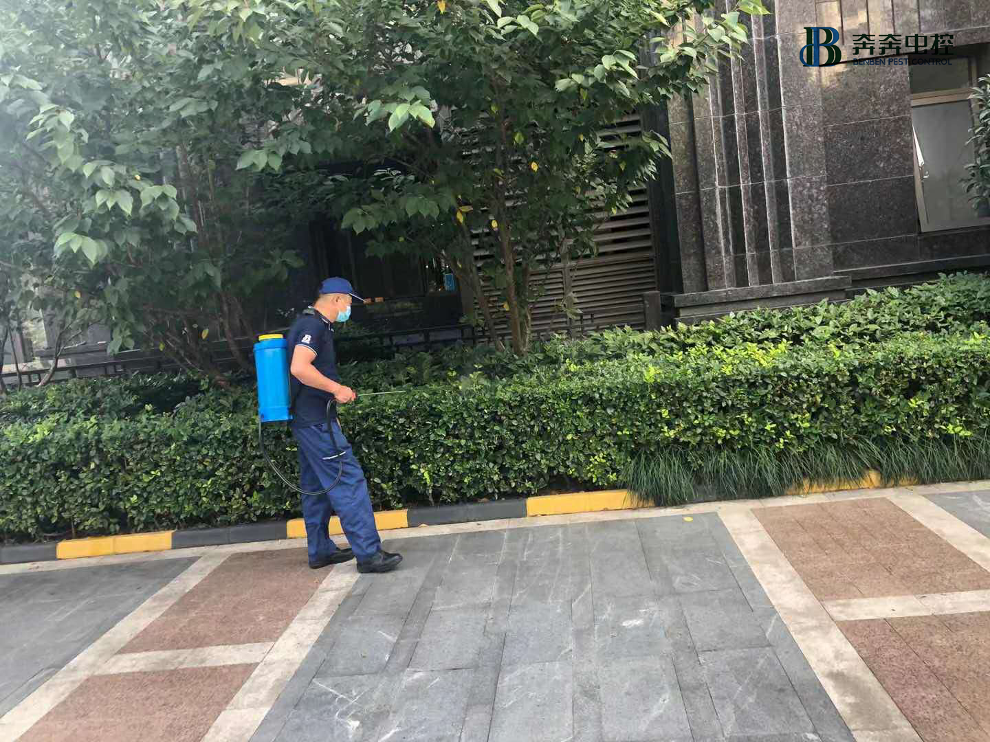 上海专业灭蟑螂公司&mdash;&mdash;您身边的灭虫害专家