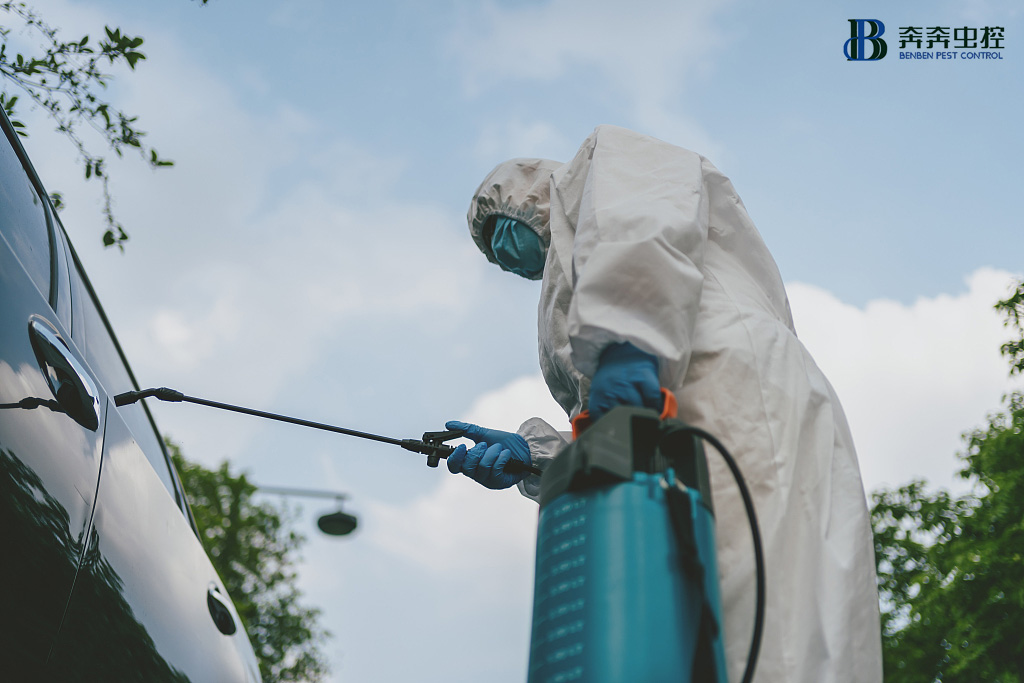 上海杀虫公司众多，怎么选择？