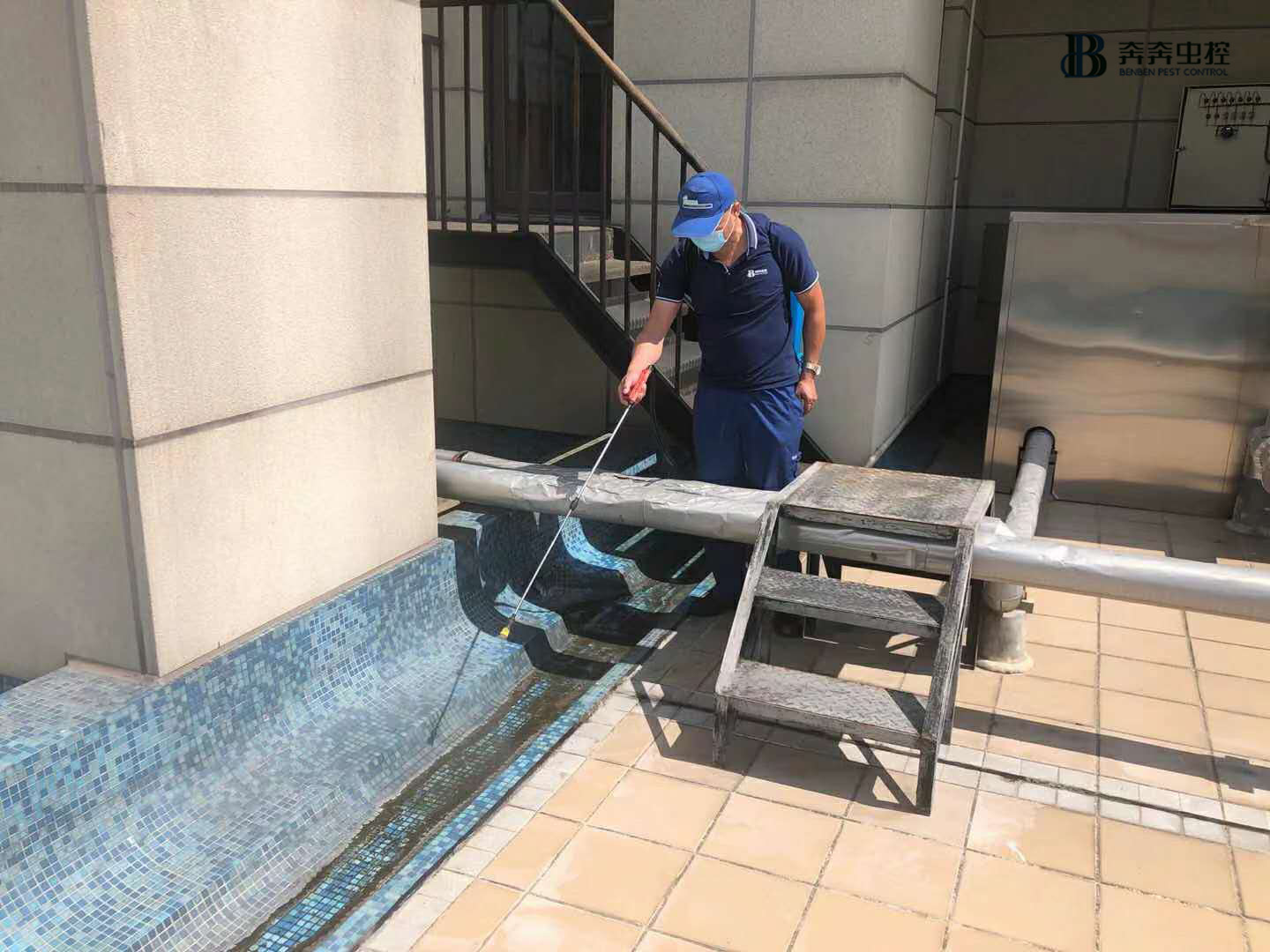 专业杀虫公司，24小时随时响应！