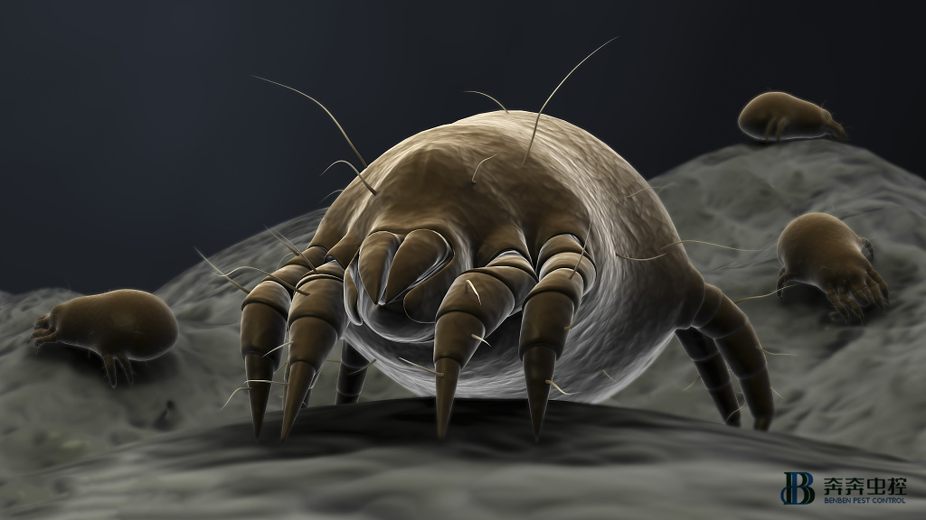 这些常见过敏原，&ldquo;潜伏&rdquo;家居三大&ldquo;死角&rdquo;