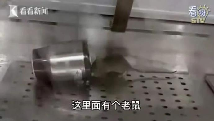 食品柜里老鼠乱窜？紫燕百味鸡部分门店停业.
