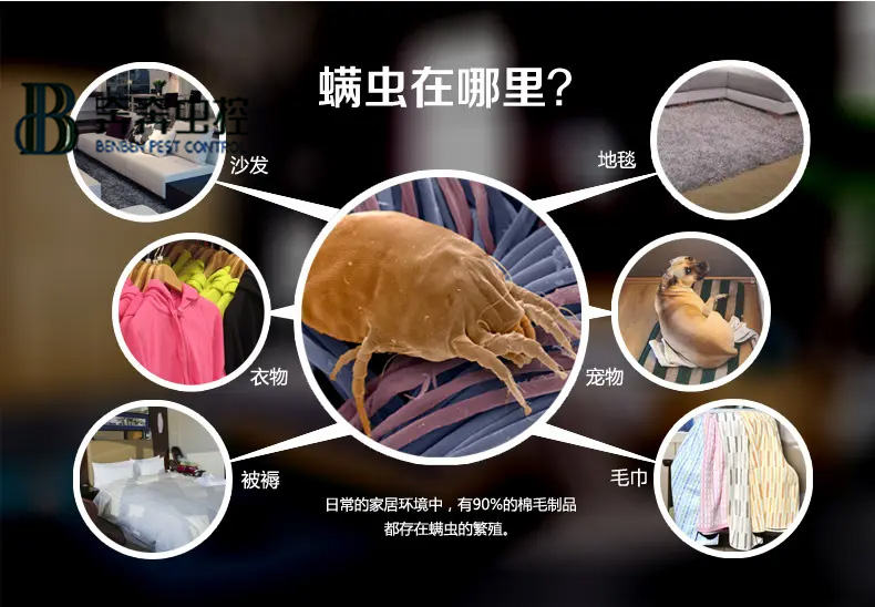 每天都和虫虫睡在一起？