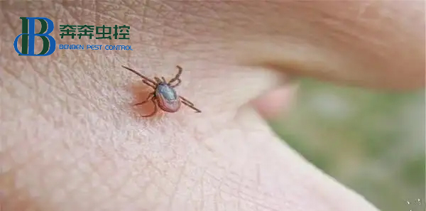 蜱虫要远离！