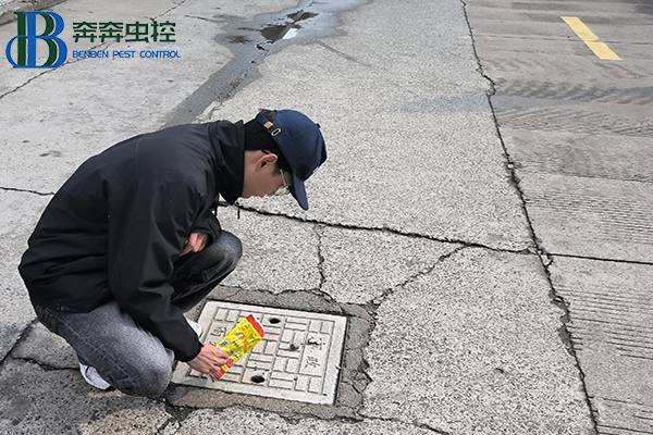 &ldquo;卫&rdquo;爱守护，健康校园！消灭四害，人人有责