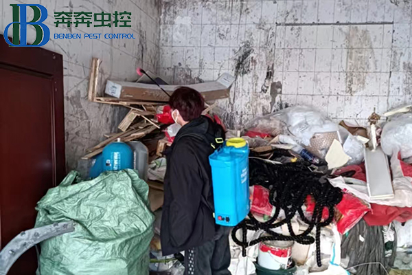 美食城如何消杀